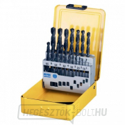 19 darabos fém fúrószerszámkészlet HSS-R DIN 338 DeWALT DT5913 DeWALT DT5913 19 darabos fém fúrószerszámkészlet HSS-R DIN 338 DeWALT DT5913 DeWALT DT5913 gallery main image
