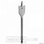 DeWALT DT4818 lapos fafúrógép 18x160mm DeWALT DT4818 lapos fafúrógép 18x160mm gallery main image