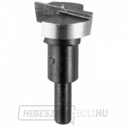 Keményfém fúrószár zsanérok fúrásához 35mm DeWALT DT4543 Keményfém fúrószár zsanérok fúrásához 35mm DeWALT DT4543 gallery main image