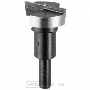 Keményfém fúrószár zsanérok fúrásához 35mm DeWALT DT4543 Keményfém fúrószár zsanérok fúrásához 35mm DeWALT DT4543 gallery main image