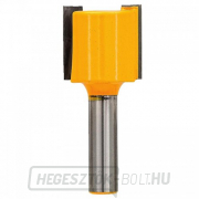 20 mm átmérőjű egyenes vágó DeWALT DT90010 20 mm átmérőjű egyenes vágó DeWALT DT90010 gallery main image