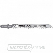 Fűrészlap keményfához és műanyaghoz 60mm-ig gyors vágás szúrófűrészhez 100mm 3db DeWALT DT2220 gallery main image