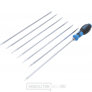 BGS 2326, Csavarhúzó készlet cserélhető pengével | T-profil (Torx-hoz)/T-profil (Torx Plus-hoz) furattal | 8 darabos BGS 2326, Csavarhúzó készlet cserélhető pengével | T-profil (Torx-hoz)/T-profil (Torx Plus-hoz) furattal | 8 darabos gallery main image