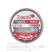 Gyémánt korong porcelánhoz 200x10x25,4/22,23mm Gyémánt korong porcelánhoz 200x10x25,4/22,23mm gallery main image