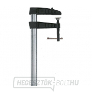 Bessey TGK300K edzett öntöttvas csavarmerevítő 3000/120 mm Tüskés fogantyú Bessey TGK300K edzett öntöttvas csavarmerevítő 3000/120 mm Tüskés fogantyú gallery main image