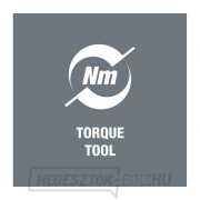 Wera 074746 7443/12 szerelőkészlet gumiabroncsnyomás-ellenőrző rendszerekhez (12 darabos készlet) náhled