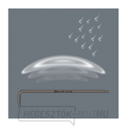 Wera 024450 967/9 Torx XL HF dugókulcsok 1. 9 darabos hosszú kulcskészlet tartási funkcióval. náhled