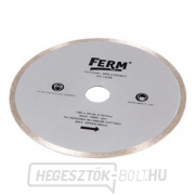 180mm átmérőjű gyémánttárcsa FTZ-600-hoz 180mm átmérőjű gyémánttárcsa FTZ-600-hoz gallery main image