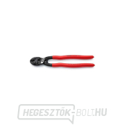 KNIPEX CoBolt® XL 71 01 250 (250 mm) Kompakt csavarvágógép gallery main image