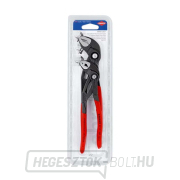 Cobra® High-Tech vízpumpa fogó Knipex 00 31 20 V01 (2 darabos készlet) Cobra® High-Tech vízpumpa fogó Knipex 00 31 20 V01 (2 darabos készlet) gallery main image