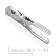 Knipex 86 04 100 Mini XS (100 mm), fogó és fogókulcs egy szerszámban Előnézet 
