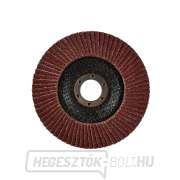 Legörgős csiszolótárcsa 125 mm P60(10/200) Előnézet 