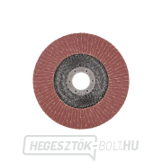 125mm P120 (10/200) Előnézet 