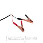 Merülő olajszivattyú 12V 51mm 4m kábellel és pisztollyal  náhled