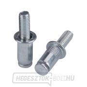 Szegecs acél csavarkészlet 50 db-os, M5x12mm Előnézet 