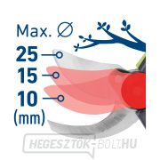 Akkus kerti olló, KEFE NÉLKÜL, 20V Li-ion, 2Ah Előnézet 