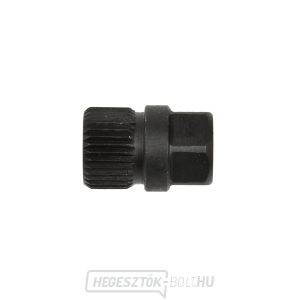 Alternátor csatlakozó kulcs 6 szög 17mm 33z/30mm hosszú (50/200) Alternátor csatlakozó kulcs 6 szög 17mm 33z/30mm hosszú (50/200) gallery main image