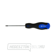 Torx t8x75 mm csavarhúzó GEKO (10/100) Torx t8x75 mm csavarhúzó GEKO (10/100) gallery main image