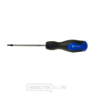 Torx t10x100 mm csavarhúzó GEKO (10/100) Torx t10x100 mm csavarhúzó GEKO (10/100) gallery main image