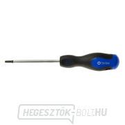 Torx t20x100 mm csavarhúzó GEKO (10/100) gallery main image