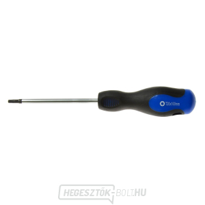 Torx t20x100 mm csavarhúzó GEKO (10/100) gallery main image