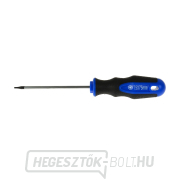 Torx t5x75 mm csavarhúzó GEKO (10/100) Torx t5x75 mm csavarhúzó GEKO (10/100) gallery main image