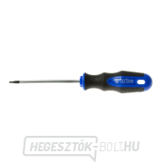 Torx t6x75 mm csavarhúzó GEKO (10/100) Torx t6x75 mm csavarhúzó GEKO (10/100) gallery main image
