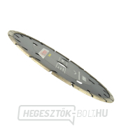 Gyémánt számlap szegmens 230x22.2x10mm Heidmann/fekete/(25) Előnézet 