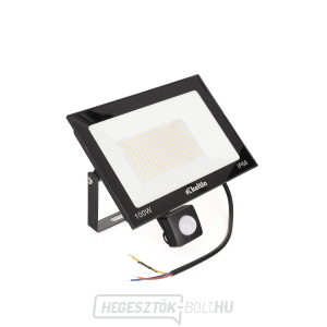 LED reflektor 100W mozgásérzékelővel - hideg fehér 6500K (10) gallery main image