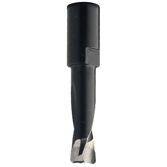 CMT C380 marófúró Domino Festoolhoz - D10x28 L49 S=M6x0,75