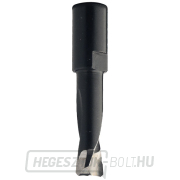 CMT C380 marófúró Domino Festoolhoz - D6x28 L49 S=M6x0,75 CMT C380 marófúró Domino Festoolhoz - D6x28 L49 S=M6x0,75 gallery main image