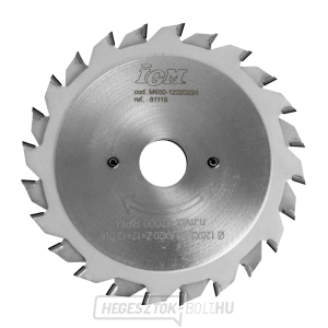 IGM Diamond elővágó tárcsa kétrészes - D120x2,8-3,6 d20 Z12+12 H.4 IGM Diamond elővágó tárcsa kétrészes - D120x2,8-3,6 d20 Z12+12 H.4 gallery main image