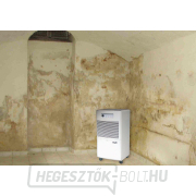 Professzionális párátlanító HEYLO DT 650 Professzionális párátlanító HEYLO DT 650 náhled