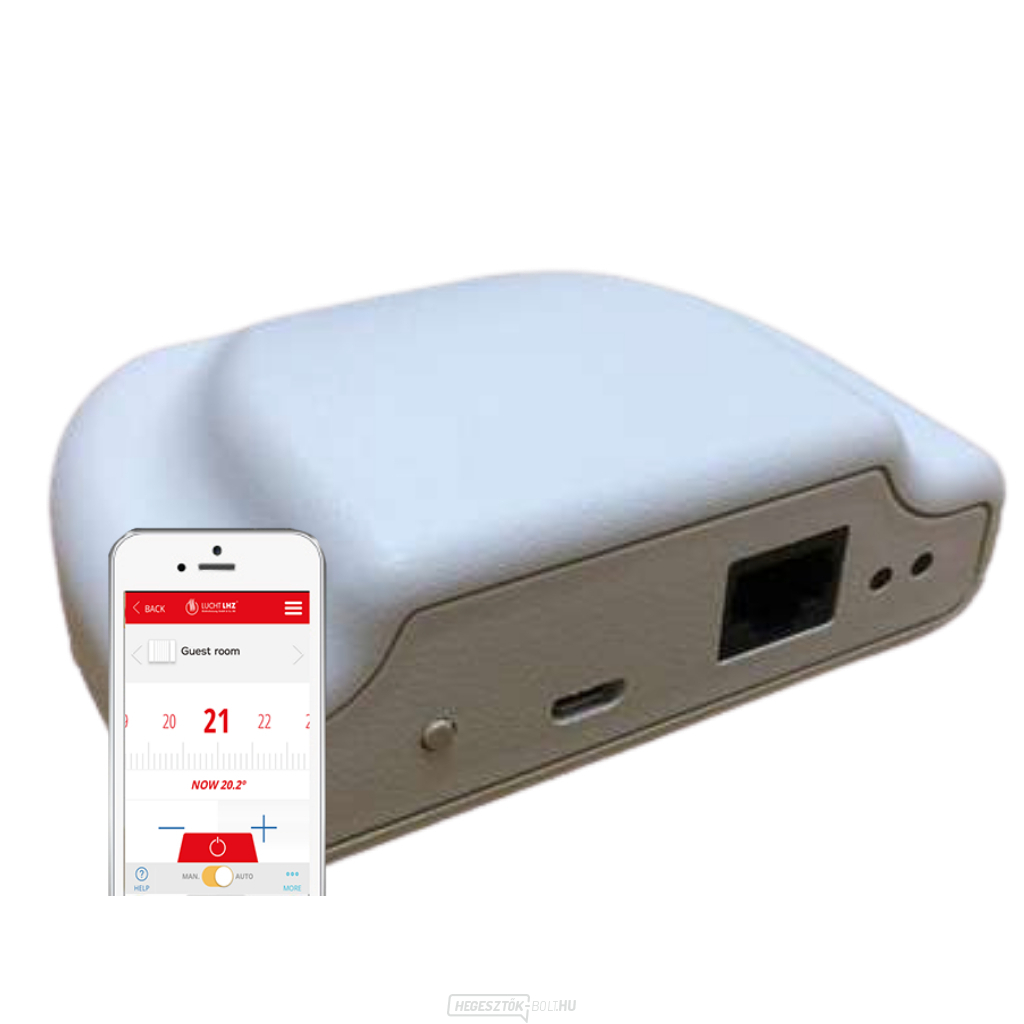 WIFI DSM Smartbox