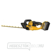 Akkumulátoros sövénynyíró 65cm 54V 1x9,0Ah DeWALT FLEXVOLT DCMHT573X1 náhled