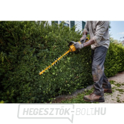 Akkus sövénynyíró 65cm 54V akkumulátor nélkül DeWALT FLEXVOLT DCMHT573N DeWALT FLEXVOLT DCMHT573N náhled