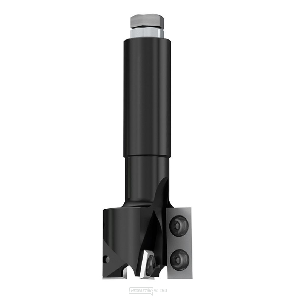 IGM F453 Vágóvágó HW - D40x29,5 L100 S=20 Z2+2