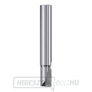 IGM M181 Gyémánt hornyolóvágó negatív - D6x10 L60 S=6 Z1neg. IGM M181 Gyémánt hornyolóvágó negatív - D6x10 L60 S=6 Z1neg. gallery main image