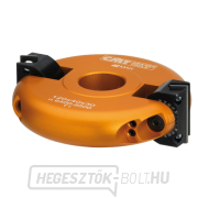 CMT állítható szögű maró MAN - D120x40 d30 Z2 ALU CMT állítható szögű maró MAN - D120x40 d30 Z2 ALU gallery main image