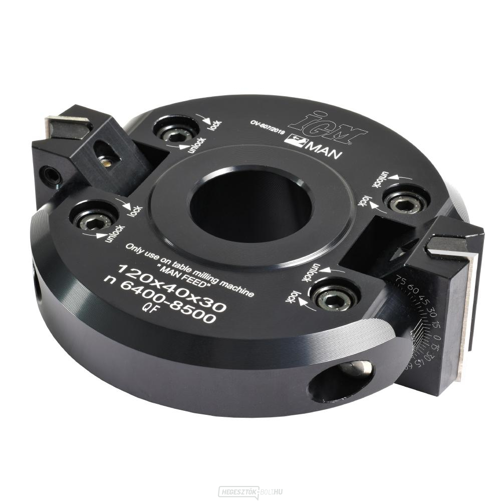 IGM F607 Állítható szögű marógép +-45° MAN - D120x40 d30 Z2 ALU
