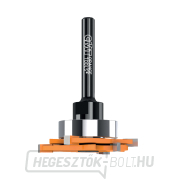 CMT C823.371 Lemezvágó maró STRIPLOX mini - D47,6x7 H9,5 L65 S=6,35 HW CMT C823.371 Lemezvágó maró STRIPLOX mini - D47,6x7 H9,5 L65 S=6,35 HW gallery main image