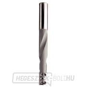 IGM ajtóvágó vágó D16x23 L150mm S=16 Z2 HW IGM ajtóvágó vágó D16x23 L150mm S=16 Z2 HW gallery main image