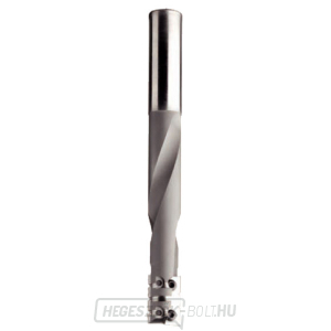 IGM ajtóvágó vágó D16x23 L150mm S=16 Z2 HW IGM ajtóvágó vágó D16x23 L150mm S=16 Z2 HW gallery main image