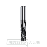 IGM 190.41 DLCS Chrome HWM spirálmaró - D12,7x22,2 I1=5,2 L76,2 L76,2 S=12,7 Z2+2 IGM 190.41 DLCS Chrome HWM spirálmaró - D12,7x22,2 I1=5,2 L76,2 L76,2 S=12,7 Z2+2 gallery main image