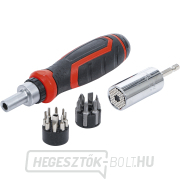 Precíziós bitek/többfunkciós betétek készlete | racsnis forgókarral, billenőkarral BGS 20817 | 17 darabos Precíziós bitek/többfunkciós betétek készlete | racsnis forgókarral, billenőkarral BGS 20817 | 17 darabos gallery main image