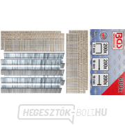 BGS 3010-1 bilincsek, csapok és kapcsok | 600 darab BGS 3010-1 bilincsek, csapok és kapcsok | 600 darab gallery main image