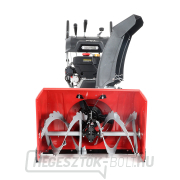 Hómaró VeGA T1176 ELS náhled