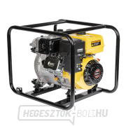 Hahn & Sohn 50ZB60 iszapszivattyú  Előnézet 