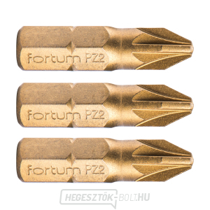 Pozidriv keresztcsúcs, 3 db-os készlet, PZ 2x25mm, titán. beállítás, S2 Pozidriv keresztcsúcs, 3 db-os készlet, PZ 2x25mm, titán. beállítás, S2 gallery main image