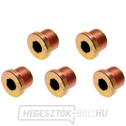 Olajleeresztő készlet BGS 126-SM17 | a BGS 126 | M17 x 1,5 mm | 5 darabos Olajleeresztő készlet BGS 126-SM17 | a BGS 126 | M17 x 1,5 mm | 5 darabos gallery main image
